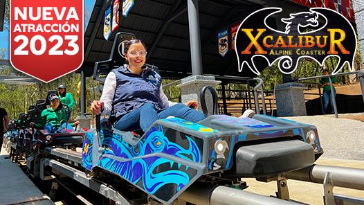 XCALIBUR ALPINE COASTER