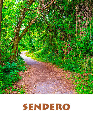 SENDERO ESTRELLA