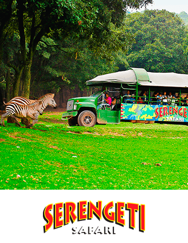 SAFARI SERENGETI