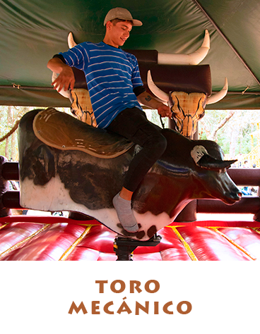 TORO MECANICO